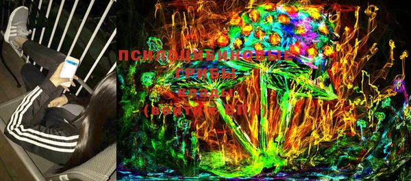 стафф Сосновка