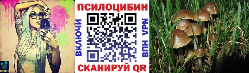 Галлюциногенные грибы мицелий  Купить закладки  Шарыпово 